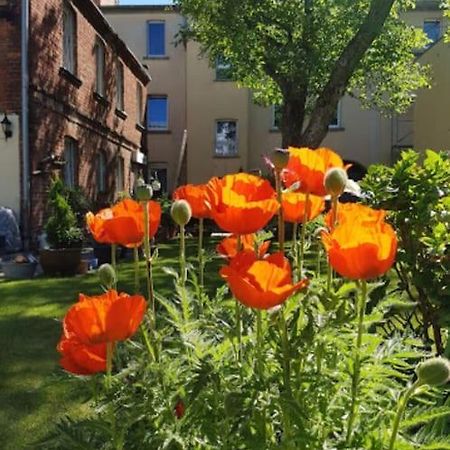 City Appartement Mit Garten, Zentral Und Trotzdem Ruhig Cottbus Buitenkant foto
