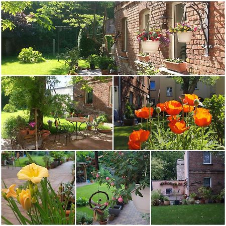 City Appartement Mit Garten, Zentral Und Trotzdem Ruhig Cottbus Buitenkant foto