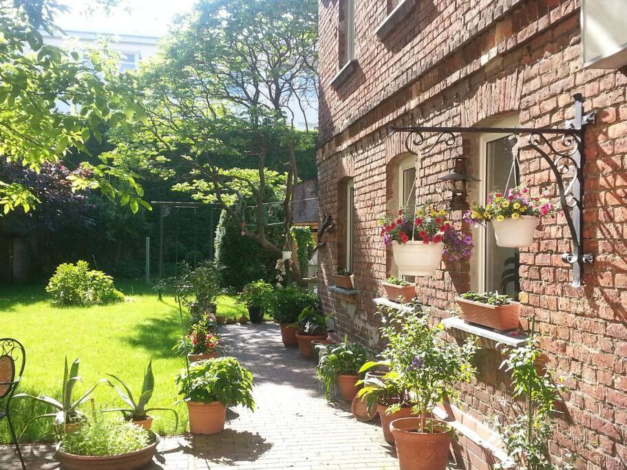 City Appartement Mit Garten, Zentral Und Trotzdem Ruhig Cottbus Buitenkant foto