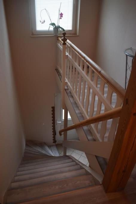 City Appartement Mit Garten, Zentral Und Trotzdem Ruhig Cottbus Buitenkant foto