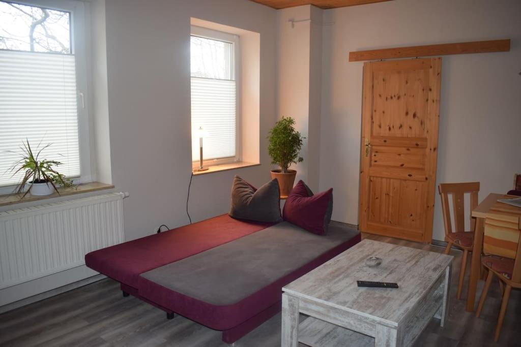 City Appartement Mit Garten, Zentral Und Trotzdem Ruhig Cottbus Buitenkant foto