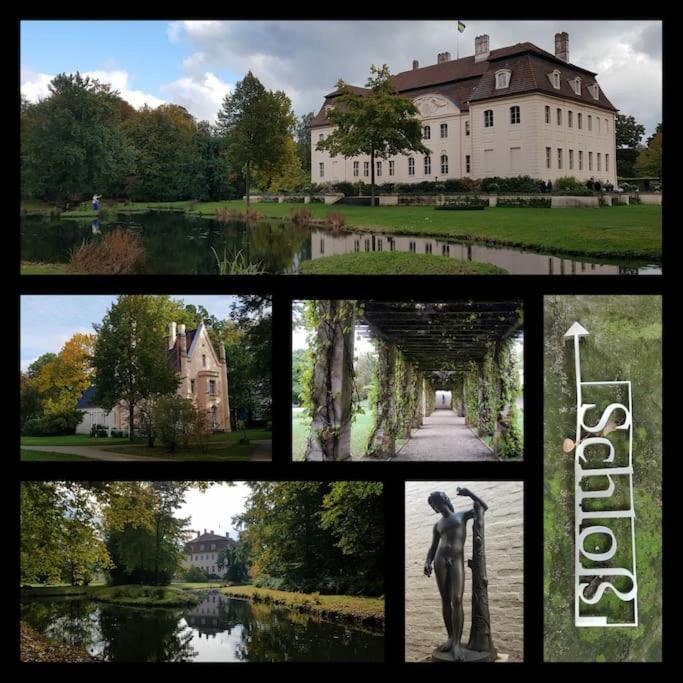 City Appartement Mit Garten, Zentral Und Trotzdem Ruhig Cottbus Buitenkant foto