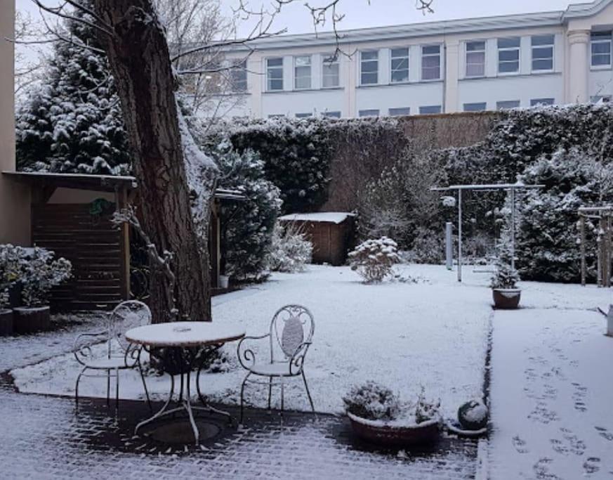 City Appartement Mit Garten, Zentral Und Trotzdem Ruhig Cottbus Buitenkant foto