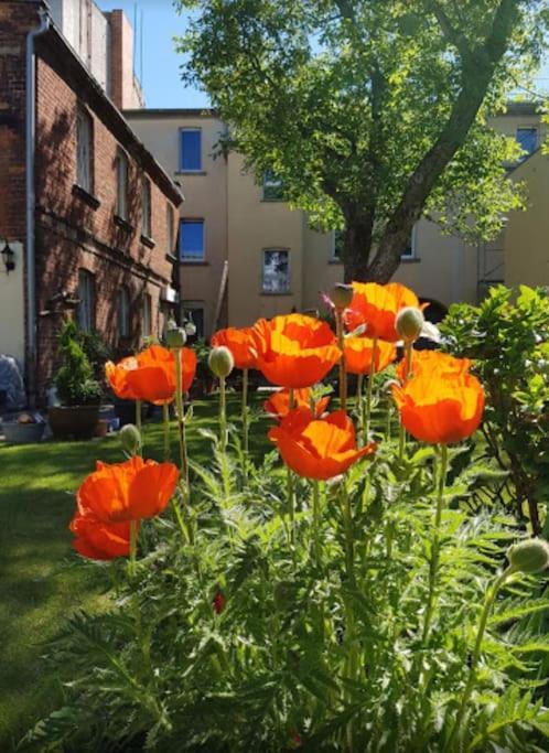 City Appartement Mit Garten, Zentral Und Trotzdem Ruhig Cottbus Buitenkant foto